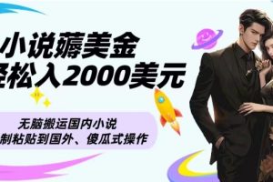 小说薅美金月轻松入2000美元项目、无脑搬运国内小说复制粘贴到国外、傻瓜式操作