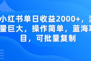 小红书单日收益2000+，流量巨大，操作简单，蓝海项目，可批量操作