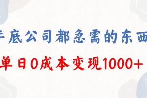 年底必做项目，每个公司都需要，今年别再错过了，0成本变现，单日收益1000