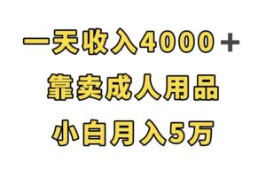 一天收入4000+，靠卖成人用品，小白轻松月入5万