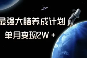 冷门虚拟项目，最强大脑养成计划，一个月变现2W＋