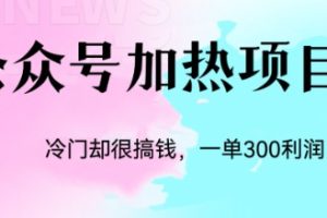 冷门公众号加热项目，一单利润300+
