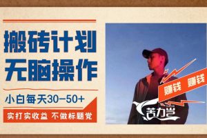 搬砖计划，小白无脑操作每天利润30-50+，完全无脑，不存在封号