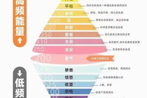 天道思维·开悟课-最高维的能量是开悟，文化属性/男女执念/商业布局/贵人运作/财富密码