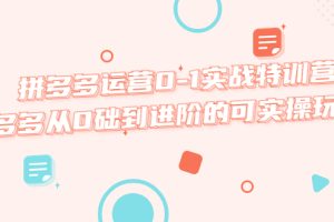 拼多多运营0-1实战特训营，拼多多从0础到进阶的可实操玩法！