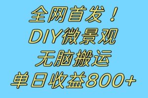 全网首发冷门赛道！DIY微景观，无脑搬运视频，日收益800+