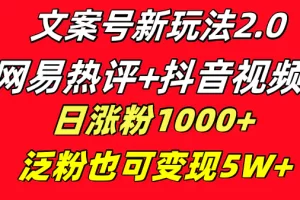 文案号新玩法 网易热评+抖音文案 一天涨粉1000+ 多种变现模式 泛粉也可变现