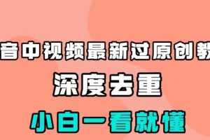 抖音中视频最新过原创教程，深度去重，小白一看就懂
