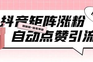 外面收费3988斗音矩阵涨粉挂机项目，自动化操作【软件+视频教程】