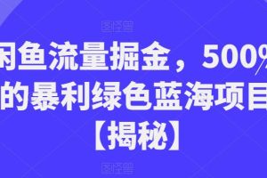 闲鱼流量掘金，500%的暴利绿色蓝海项目
