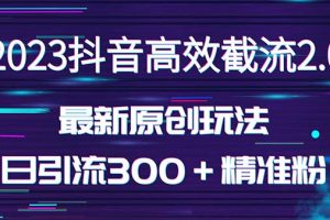 日引300＋创业粉，独家抖音高效截流2.0玩法（价值1280）