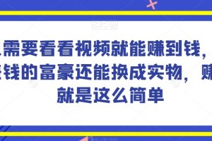 谁做过这么简单的项目？只需要看看视频就能赚到钱，不差钱的富豪还能换成实物，赚钱就是这么简单！
