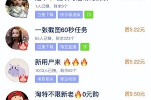 长期稳定的薅羊毛项目，含项目一手货源渠道！