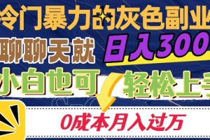 冷门暴利的副业项目，聊聊天就能日入300+，0成本月入过万