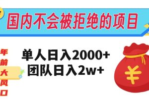 在国内不怕被拒绝的项目，单人日入2000，团队日入20000+