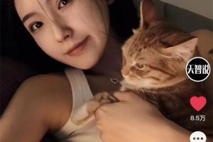 文案号从0起号到月入2万操作指南1.0