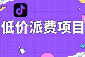 抖音低价派单项目，0门槛，日入1000+很轻松，小白可操作