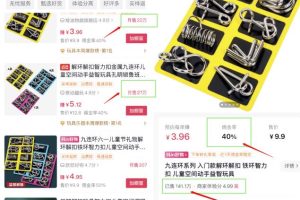 月入1w的益智玩具项目，小赛道稳定收入