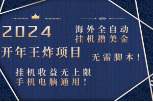 2024海外全自动挂机撸美金项目！手机电脑均可，无需脚本，收益无上限！