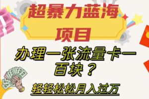 超暴力蓝海项目，办理一张流量卡一百块？轻轻松松月入过万，保姆级教程