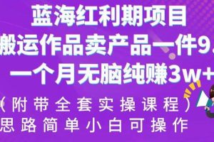 蓝海红利期项目，搬运作品卖产品一件9.9，一个月无脑纯赚3w+！（附带全套实操课程）