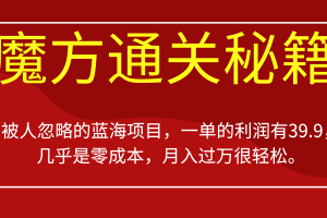 被人忽略的蓝海项目，魔方通关秘籍一单利润有39.9，几乎是零成本，月入过万