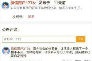 微信今日句子搞钱小项目，一条句子收入260