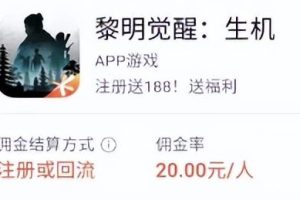 视频号直播游戏推广项目，无需露脸，直播游戏，单天收益500+