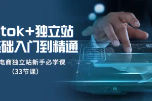tiktok+独立站从0基础入门到精通，跨境电商独立站新手必学课（33节课）