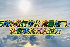 巧蹭ip进行带货，流量起飞，让你轻松月入过万【脚本+素材】