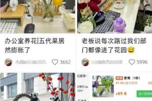 小红书导流快团团卖货实操案例，日引200+精准粉