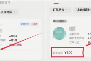 小红书商单搬砖玩法，一单收益200-300（可批量放大）