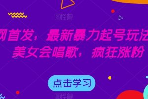 全网首发，最新暴力起号玩法，AI美女会唱歌，疯狂涨粉