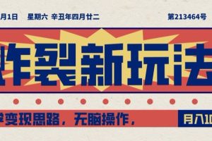 炸裂新玩法，哲学变现思路，无脑操作，只靠单人月入10000+