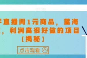 快手直播间1元商品，蓝海赛道，利润高很好做的项目