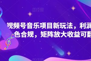 视频号音乐项目新玩法，利润超高绿色合规，矩阵放大收益可翻N倍
