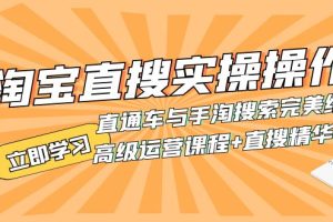 淘宝直搜实操操作 直通车与手淘搜索完美结合（高级运营课程+直搜精华实战）