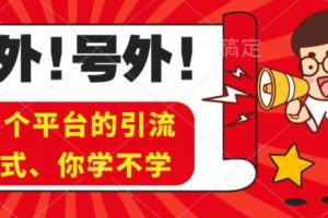 实操11个热门平台引流方法、私域教程看完不走弯路！