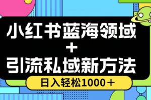 小红书蓝海虚拟＋引流私域新方法，100%不限流，日入轻松1000＋，小白无脑操作