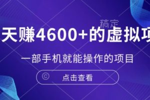 13天赚了4600+的虚拟项目，一部手机就能操作（附配套资源）