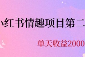 最近爆火小红书情趣项目第二版，每天2000+