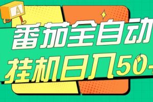 番茄全自动挂机日入50+，软件全自动，多号破百