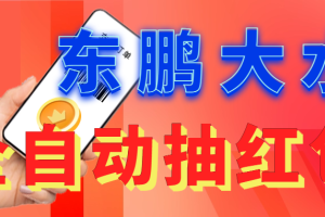 东鹏_全自动抽红包软件+详细使用教程！