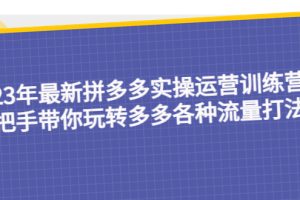 23年最新拼多多实操运营训练营：手把手带你玩转多多各种流量打法！