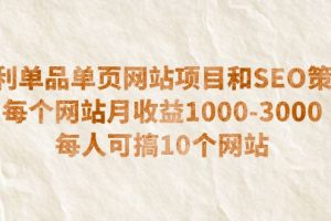 暴利单品单页网站项目和SEO策略 每个网站月收益1000-3000 每人可搞10个