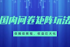 保姆级教程，国内问卷矩阵玩法，轻松赚收益