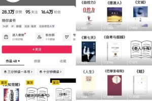 AI做短视频书单号矩阵，涨粉变现轻松搞定，玩法无私分享给你