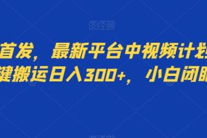 全网首发，最新平台中视频计划，靠一键搬运日入300+，小白闭眼入