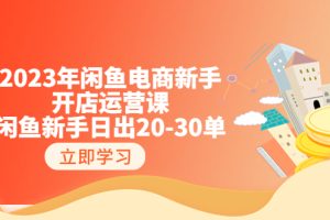 2023年闲鱼电商新手开店运营课：闲鱼新手日出20-30单（18节-实战干货）