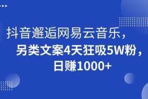 抖音邂逅网易云音乐，另类文案4天狂吸5W粉，日赚1000+